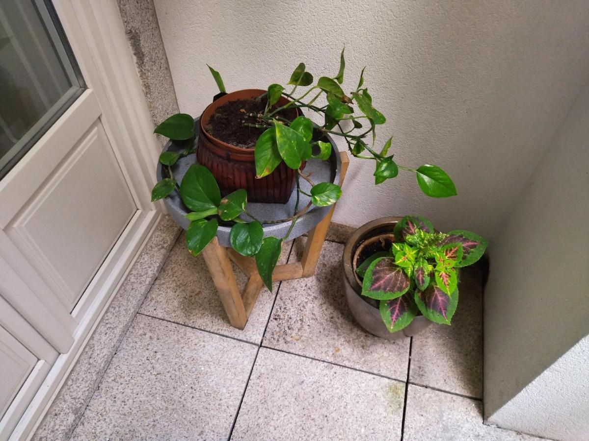 Santa Catarina Patio Apartment - With Washer Machine Porto Exterior photo